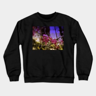 red Malus 'Radiant'  crab apple blossoms #1 Crewneck Sweatshirt